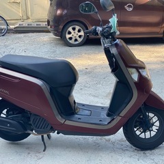 Honda  Dunk 50ccの画像