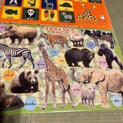 動物パズル　
セットの画像