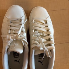 PUMA スニーカーの画像