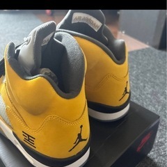 air jodan5 の画像