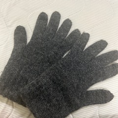 イルビゾンテ　手袋の画像