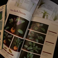 AQUA PLANT アクアプランツ No.1〜No.3 別冊 4セット 水草の画像