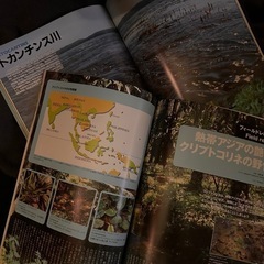 AQUA PLANT アクアプランツ No.1〜No.3 別冊 4セット 水草の画像