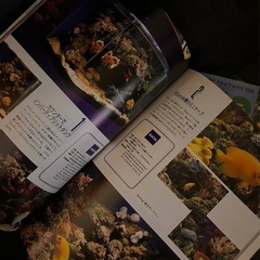 Marine アクアリスト 雑誌 3冊 熱帯魚 アクアライフ 珊瑚の画像