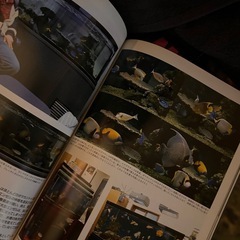 Marine アクアリスト 雑誌 海水魚 熱帯魚 セット 珊瑚 エンゼルの画像