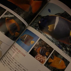マリン AQUARIST 雑誌 セット 海水魚 熱帯魚 珊瑚 ヤッコ図鑑の画像