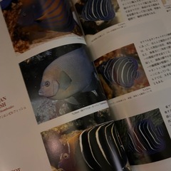 マリン AQUARIST 雑誌 セット 海水魚 熱帯魚 珊瑚 ヤッコ図鑑の画像