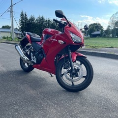 ホンダ　CBR250R MC41 後期
 の画像