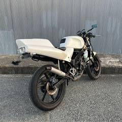 HONDA NS-1 50cc キック1発始動 機関良好 バッテリー新品 社外チャンバー デイトナCDI等々カスタム 最短即日で配送可能　原付免許で乗れるマニュアル車 (検NSR NS TZR RG)の画像