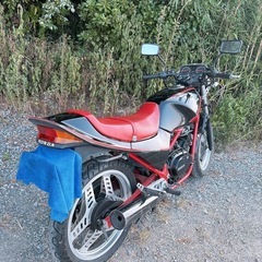 VT250fc 実働 旧車 の画像