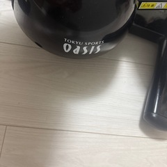 ツイストステッパーの画像