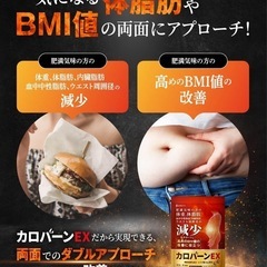 【4袋】脂肪燃焼サプリ カロバーンEX 肥満気味の方の体重、体脂肪、血中中性脂肪、内臓脂肪、ウエスト周囲径の減少をサポートの画像
