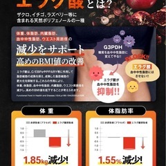 【4袋】脂肪燃焼サプリ カロバーンEX 肥満気味の方の体重、体脂肪、血中中性脂肪、内臓脂肪、ウエスト周囲径の減少をサポートの画像