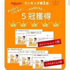 アヒルの親子 知育玩具の画像