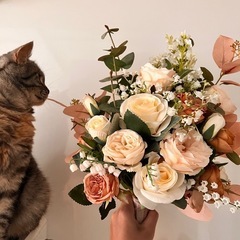 トラ柄の猫 
