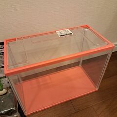 ジェックス小型ガラス水槽 金魚元気セット ピンクの画像
