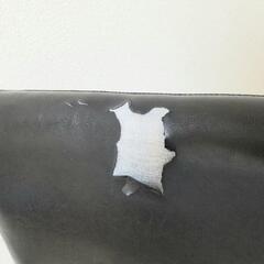 ダイニングチェアの画像