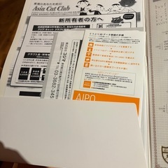 チンチラシルバー − 茨城県
