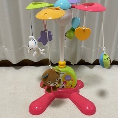 メリーの画像