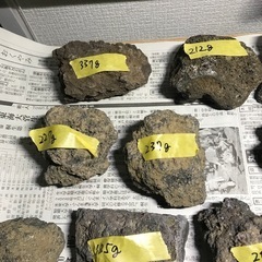 溶岩石　中サイズ　17個の画像