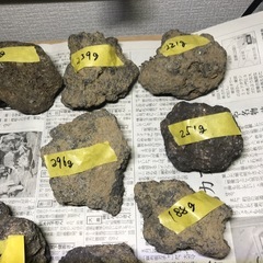 溶岩石　中サイズ　17個の画像