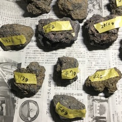 溶岩石　中サイズ　17個の画像