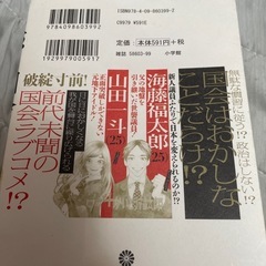 恋と国会　西けい子の画像