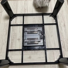 こたつテーブルの画像