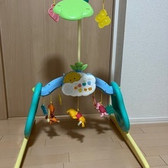 えらべる回転6WAYジムにへんしんメリー プーメリー
の画像