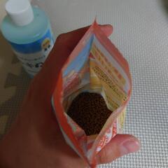 カルキ抜き、金魚のエサの画像