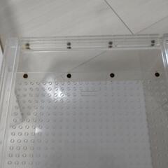 現在交渉中　中古/爬虫類ケージ 三晃商会 レプタイルボックス 飼育ケース２個セットの画像