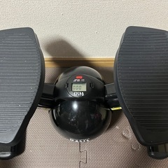 オアシス　ツイストステッパーの画像