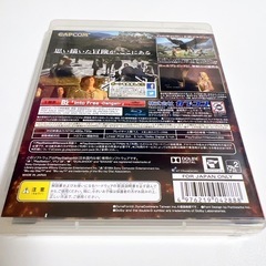 DRAGONS DOGMA ドラゴンズドグマ PS3の画像