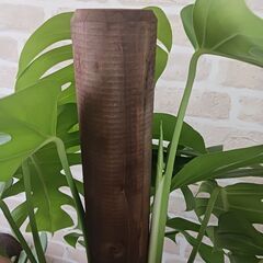 3万円　モンステラ　支柱仕立て　10号　観葉植物の画像