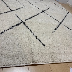 ニトリ 絨毯の画像