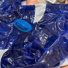 イルカ浮き輪ボート浮き輪の画像