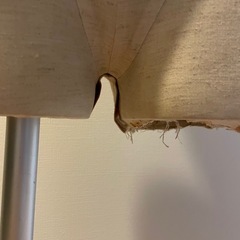 ファッション マネキン トルソー レディースの画像