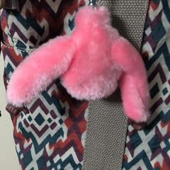 KIPLING　ゴリラの画像