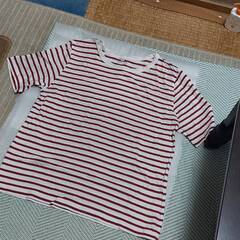 半袖ボーダーＴシャツ／ハニーズの画像