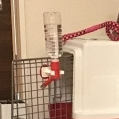 犬ゲージ用給水器 の画像