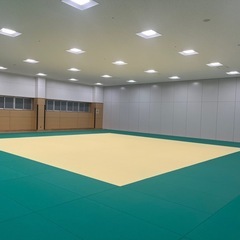 八光流柔術　大牟田　山下町の画像