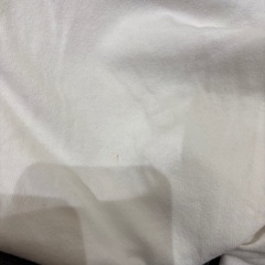 CHUMS 白T Tシャツ チャムス ロゴT 半袖の画像
