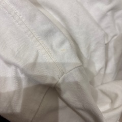 CHUMS 白T Tシャツ チャムス ロゴT 半袖の画像