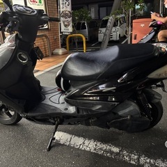 シグナス2型の画像