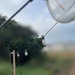 【ジャンク】スリリングライトの画像