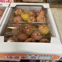 羽間！朝取りいちぢく
の画像