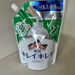 薬用キレイキレイ　つめかえ用450mlの画像