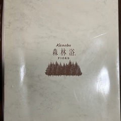 ●カネボウ　肌掛け布団2枚組●未使用品の画像