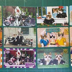 レトロ　なめ猫免許証　11種12枚セットの画像