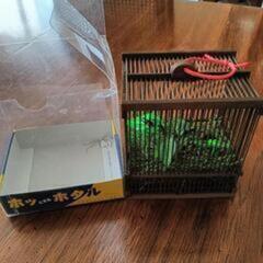 大至急。今日明日中に引き取り希望。レア。人工ホタル　ホッとするホタル竹籠入り。の画像